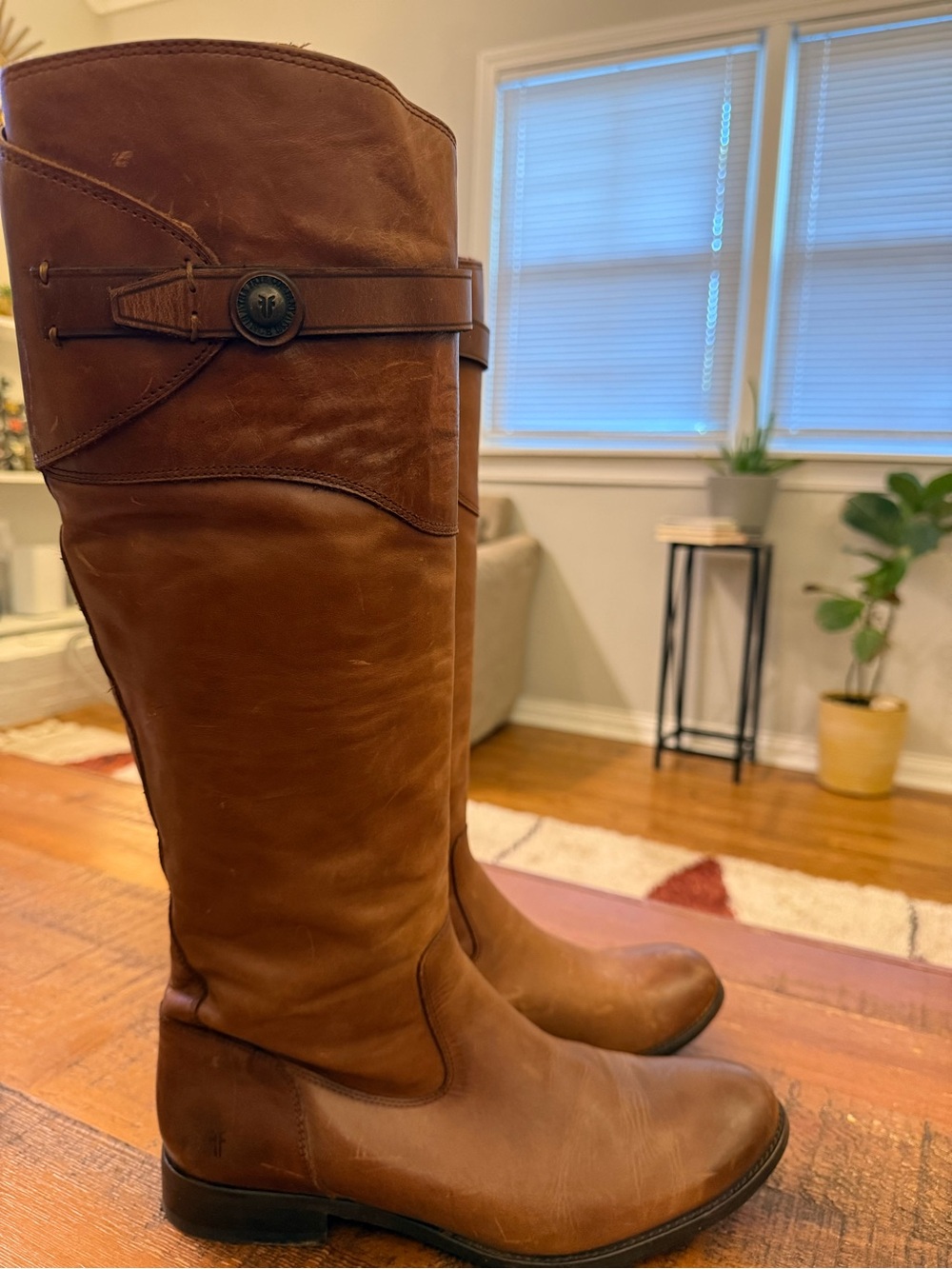 Frye Molly Brown Leather Tall Riding Boots